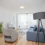 Rent 1 bedroom apartment of 700 m² in Porto