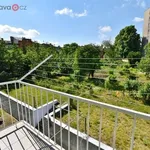 Rent 2 bedroom apartment of 42 m² in Brno-Černovice