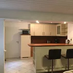 Rent 1 bedroom apartment of 60 m² in Frankfurt