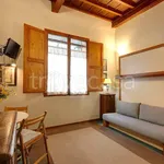 Rent 1 bedroom apartment of 26 m² in Firenze