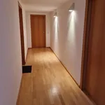 Rent 2 bedroom apartment of 63 m² in Dresden