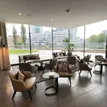 Rent 1 bedroom apartment in London