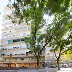 Alquilar 6 dormitorio apartamento en Seville