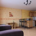 Rent 1 bedroom apartment of 36 m² in ORLEANS