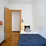 Alquilar 4 dormitorio apartamento en Madrid