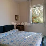 4-room flat via Partenope 19, Riviera Di Marcigliano, Massa Lubrense