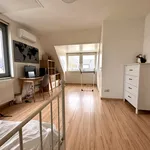 Huur 3 slaapkamer huis van 136 m² in limburg