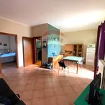 Rent 2 bedroom apartment of 60 m² in Settimo Torinese