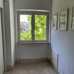 Rent 2 bedroom apartment of 77 m² in Roma