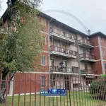 Rent 3 bedroom apartment of 95 m² in Pavia