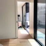 Rent 1 bedroom apartment of 55 m² in frankfurt