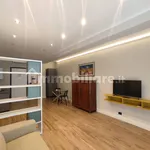 Rent 2 bedroom apartment of 55 m² in Turin