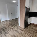 Rent 2 bedroom apartment of 47 m² in Opole