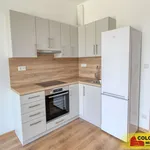 Rent 1 bedroom apartment in Znojmo