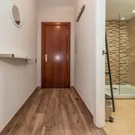 Rent 1 bedroom apartment of 32 m² in Madrid