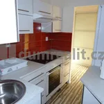 Rent 1 bedroom apartment in Praha 6