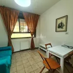 Rent 2 bedroom apartment of 35 m² in Roma