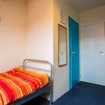 Louez une chambre de 350 m² à brussels