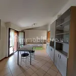 Rent 1 bedroom apartment of 40 m² in Bologna