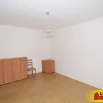 Rent 1 bedroom apartment of 33 m² in Brno