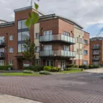 Rent 1 bedroom apartment in Finglas