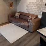 Rent 2 bedroom apartment of 50 m² in Turin