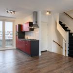 Rent 3 bedroom apartment of 64 m² in Leiden
