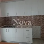 Rent 2 bedroom apartment of 90 m² in Kato Patisia