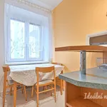 Rent 1 bedroom apartment of 38 m² in Brno