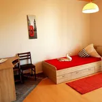 Rent a room of 16 m² in Sindelfingen