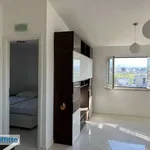 Rent 2 bedroom apartment of 45 m² in Rome