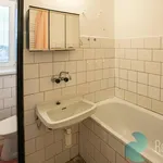 Rent 1 bedroom apartment in Benešov