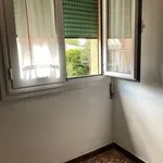 Rent 3 bedroom apartment of 77 m² in Bologna