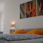 Rent 1 bedroom apartment of 44 m² in Frankfurt