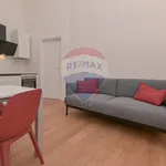 Rent 2 bedroom apartment of 58 m² in Torino