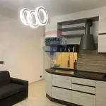 Rent 1 bedroom apartment of 30 m² in Varese