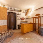 Rent 1 bedroom house of 195 m² in Ústí nad Labem