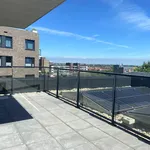 Rent 3 bedroom apartment of 78 m² in Laakhaven-West