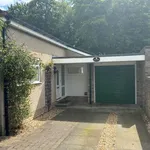 Bungalow to rent in Crofts Avenue, Corbridge NE45