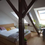 Rent 2 bedroom apartment of 50 m² in Praha