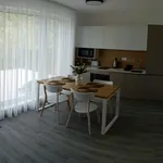 Studio o rozloze 32 m² v Český Krumlov