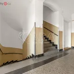 Rent 3 bedroom apartment of 95 m² in Praha