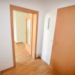 Rent 2 bedroom apartment of 43 m² in Chemnitz