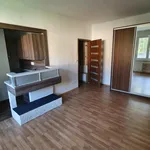 Rent 1 bedroom apartment of 26 m² in Ostrava