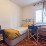 Rent a room in alcala_de_henares