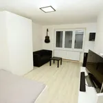 Rent 1 bedroom apartment of 30 m² in Olomouc