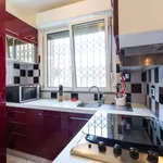 Rent 1 bedroom apartment in milan