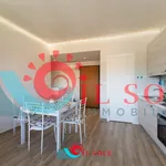 Rent 2 bedroom apartment of 70 m² in pisa