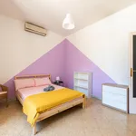 Rent 4 bedroom apartment in Bari