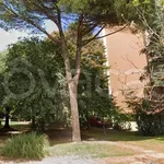 Affitto 3 camera appartamento di 80 m² in Castel Bolognese